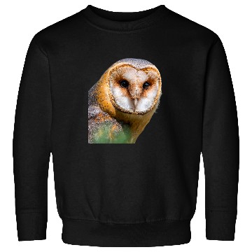 Discover Owl Pet Barn Owl Bird Ornithology Sweatshirts