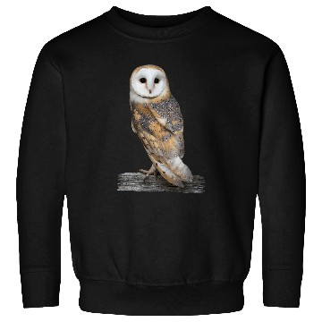 Discover Owl Pet Barn Owl Portrait Sweatshirts