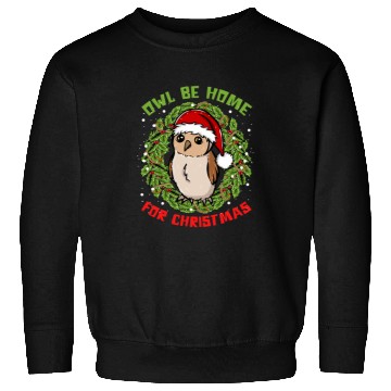 Discover Owl Pet Be homes For Christmas Wreath Snow Santa Hat Sweatshirts