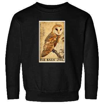 Discover Owl Pet Barn Owls Barn Owl Tarot Card Sweatshirts