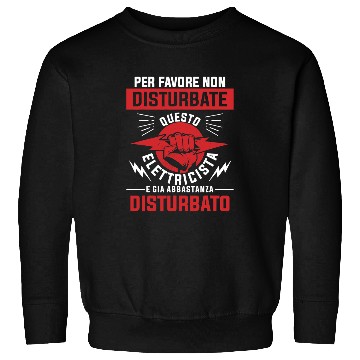 Discover Electrical Please Do Not Disturb This Electrician Sweatshirts