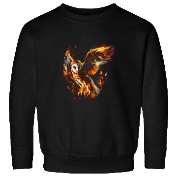 Discover Owl Pet Fiery Barn Owl Graphic Tees for Men Women Boys Girls Sweatshirts