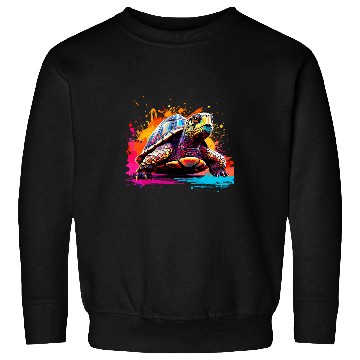 Discover Splash Art Box Turtle Lover Colorful Sweatshirts