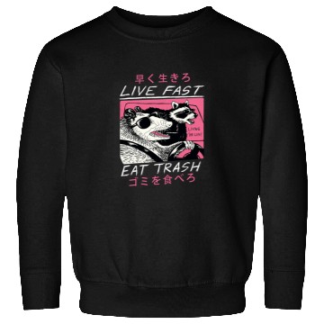Discover Raccoon Pet Live Fast Eat Trash Opossum Raccoon Japanese Sweatshirts