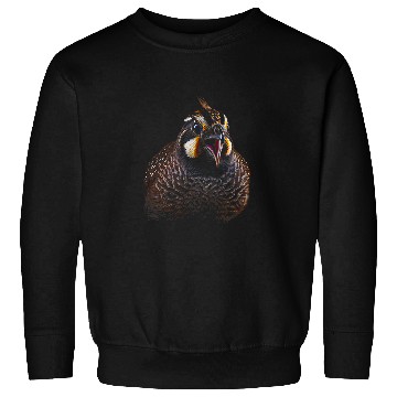 Discover californias Quail State Bird Californian 22 Sweatshirts