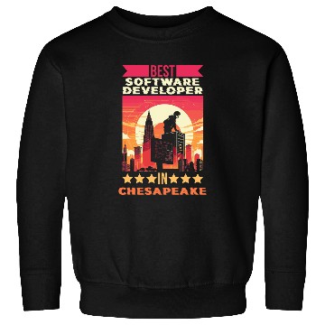 Discover bests Software Developer In Chesapeake Code Craftsmen America Sweatshirts