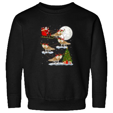 Discover Owl Pet Funny xmass Lighting Tree Santa Riding Barn Owl Christmas Sweatshirts