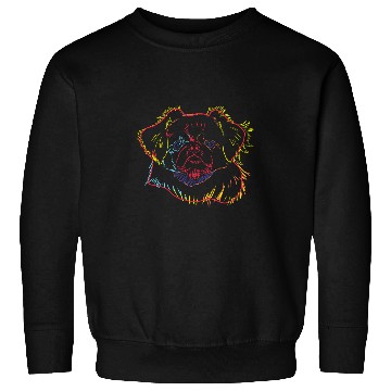 Discover Colourful Dog Tibetan Spaniel Sweatshirts