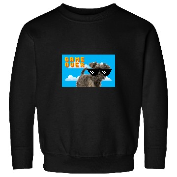 Discover 8Bit Game Over Affenpinscher Sweatshirts