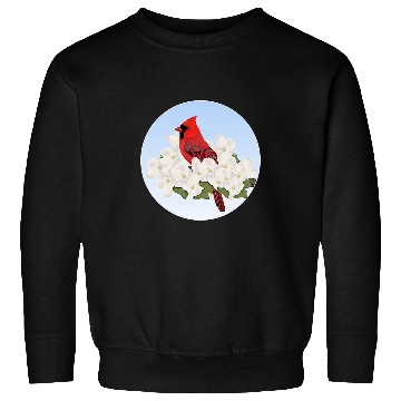 Discover Cardinal Bird Birdlover Birdwatcher Biologist Ornithologist Sweatshirts