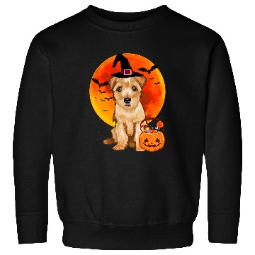 Discover Dog Halloween Norfolk Terrier Jack O Lantern Pumpkin Sweatshirts