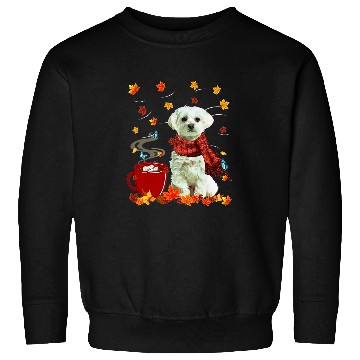 Discover Dog Maltese Fall Chocolate Hot Funny Dog Autumn Sweatshirts