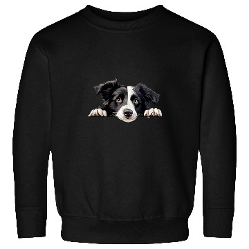 Discover Cute Border Collie For Dog Lovers Sweatshirts