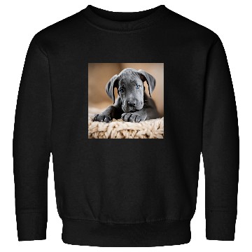 Discover Great Dane Puppy Close Up Sweatshirts