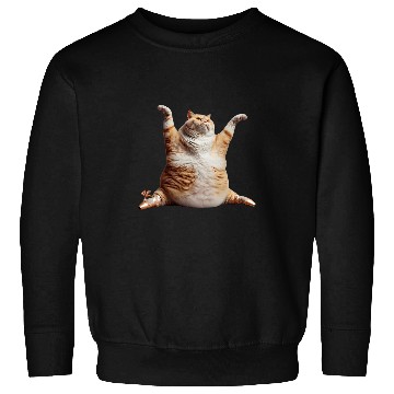 Discover Chubby Cat Ballet Dance Whimsical Feline Performance 2 Sweatshirts
