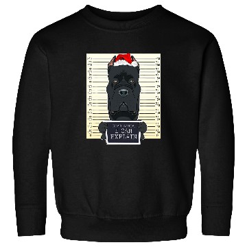 Discover Dear Santa I Can Explain Funny Christmas Cane Corso Sweatshirts