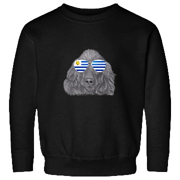 Discover Cocker Spaniel Dog Uruguay Sunglasses Sweatshirts