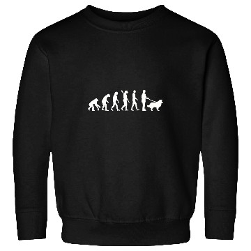 Discover Evolution Border collie Sweatshirts