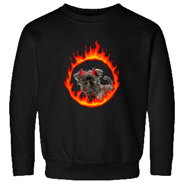 Discover Devil Dog Affenpinscher Sweatshirts