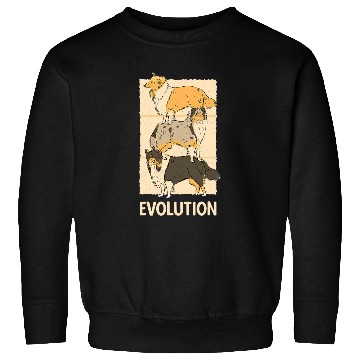 Discover Evolution Border Collie Dogs Herd Sweatshirts