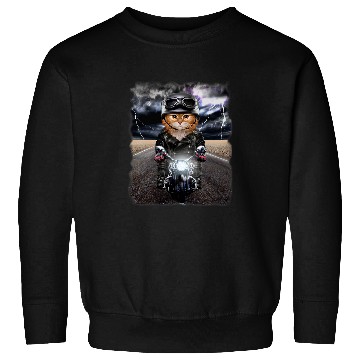 Discover Fluffy Orange Cat on Motorcycle Cruise Down Highway 21 Sweatshirts