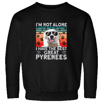Discover Pyrenean Mountain Owner I Have The bests Dog Great Pyrenees Sweatshirts