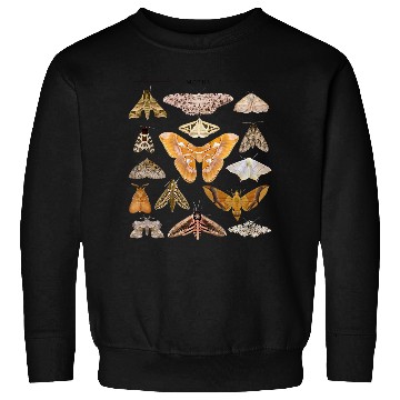 Discover Moth Insect Bug Cottagecore Butterfly Sweatshirts