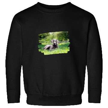 Discover Weimaraner Dog Lover 1 Sweatshirts