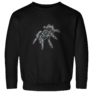 Discover Zebra Tarantula Spider Sweatshirts