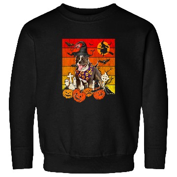 Discover pitbull dog witch scary pumpkin halloween spooky boo Sweatshirts