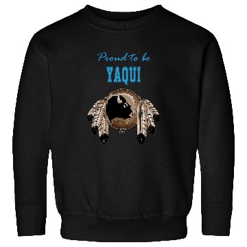 Discover Native American Buffalo Beautiful Sweatshirts