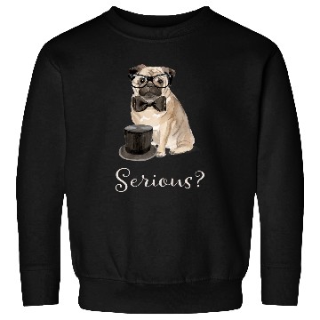 Discover Serious Pug Sweatshirts