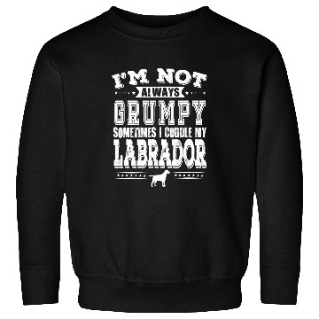 Discover Labrador Lab Dog Owners Are Not Always Grumpy Funny Sweatshirts
