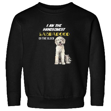 Discover The handsomest labradoodle Sweatshirts