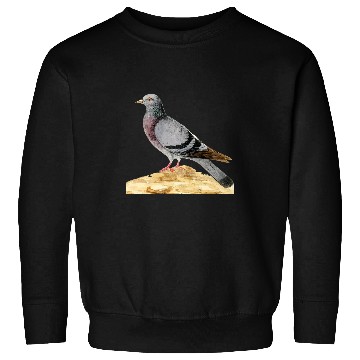 Discover vintages Pigeon Whisperer Trains racing or fancy pigeons Sweatshirts