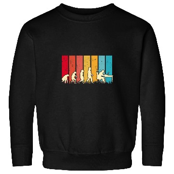 Discover Developer Evolution Retro Computer Scientist Programmer 2 Sweatshirts