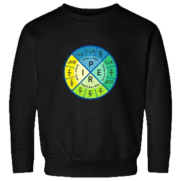 Discover Physics Equation Physics Major Student Future Physicist Sweatshirts
