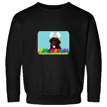 Discover Newfoundland w Bunny Ears Sweatshirts