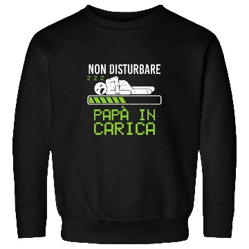 Discover Do Not Disturb Pope in Charge Answer Tired Break Sweatshirts