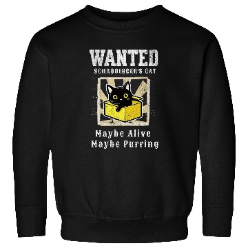 Discover Theoritical Quantum Physics Funny Physics Jokes Schrodinger Sweatshirts