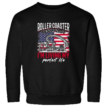 Discover Roller Coaster Test Pilot vintages USA Flagg Amusement Park Sweatshirts