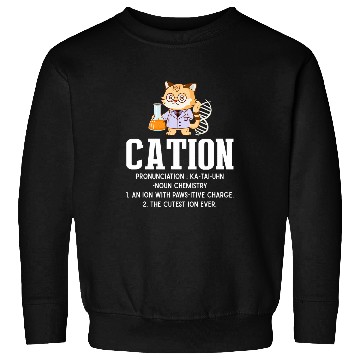 Discover Cation Science Cat Definition Chemistry Student Teacher 1 Sweatshirts