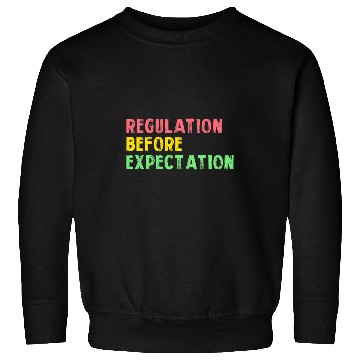 Discover Regulation Before Expectation Retro Neurodiversity Therapist 13 Sweatshirts