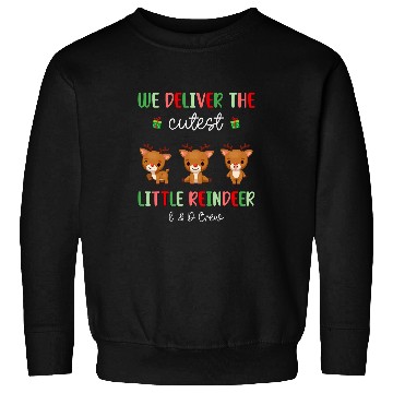 Discover Labor Delivery nurses Cutest Reindeer LD Crew Christmas Sweatshirts