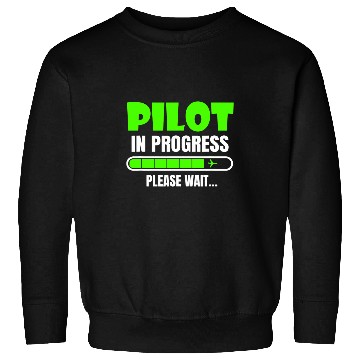 Discover Pilot In Progress Please Wait Funny School Flight Student Sweatshirts