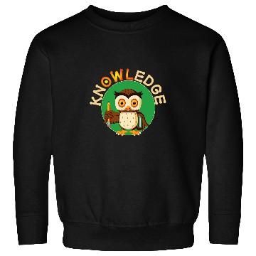 Discover Knowledge Cute Owl Pun School 1st Grade Kids Gift Sweatshirts