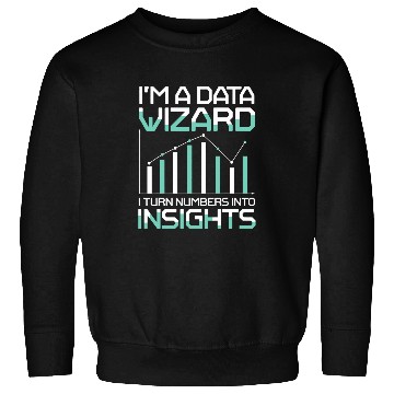 Discover Im A Data Wizard I Turn Numbers Into Insights Sweatshirts