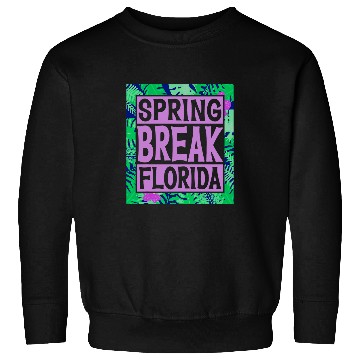 Discover Spring Break Senior Class Student School Trip Florida Beach 4 Sweatshirts