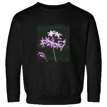 Discover Society Garlic Close Up Photograph Sweatshirts