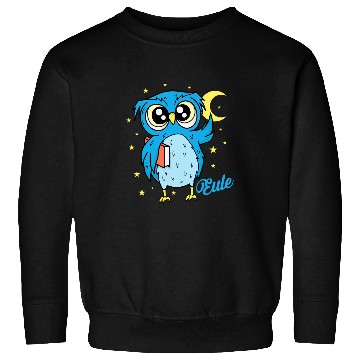 Discover Sleep type Owl nocturnal diligent study Book Sweatshirts